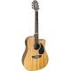 Violao Eletrico Giannini Aço Folk Cutaway Gf1D Zebra Wood