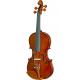 Violino Eagle 4/4 VE441