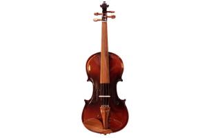 Violino Nhureson 4/4 EVB